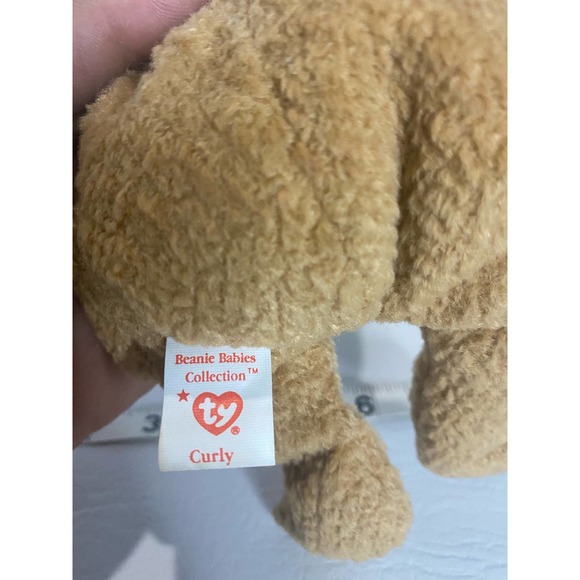 TY Beanie Baby Very Rare Curly the Bear with Tag Errors (1993/1996) & Brown Nose - Picture 5 of 9